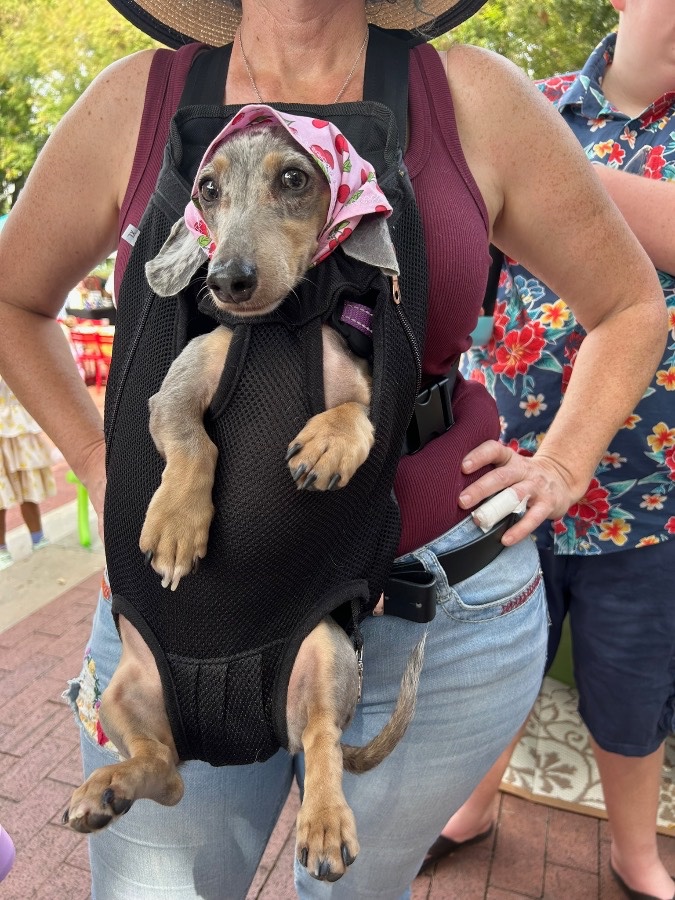 Paws & Relax Pet Boutique gallery 4