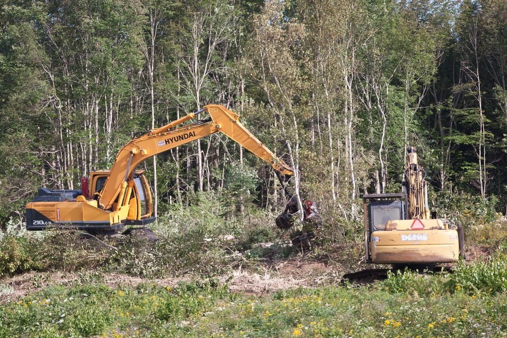 Iron Tusk Land Clearing gallery 2