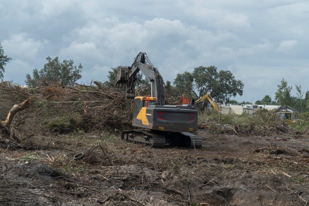 Iron Tusk Land Clearing gallery 3