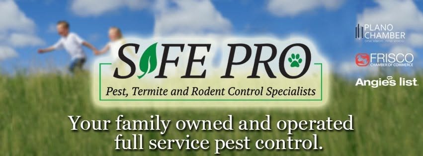 Safe Pro Pest Control gallery 1