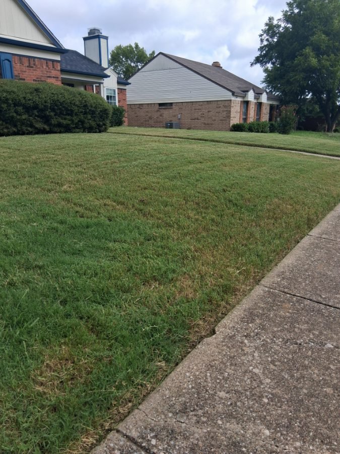 GoMow Lawn Care Service gallery 2