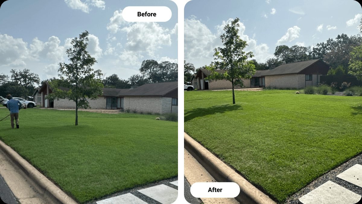 GoMow Lawn Care Service gallery 3