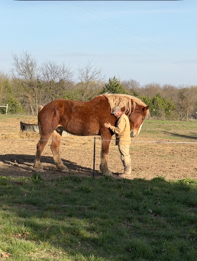 Rustic Way Ranch gallery 1
