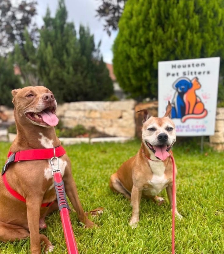 Houston Pet Sitters gallery 3