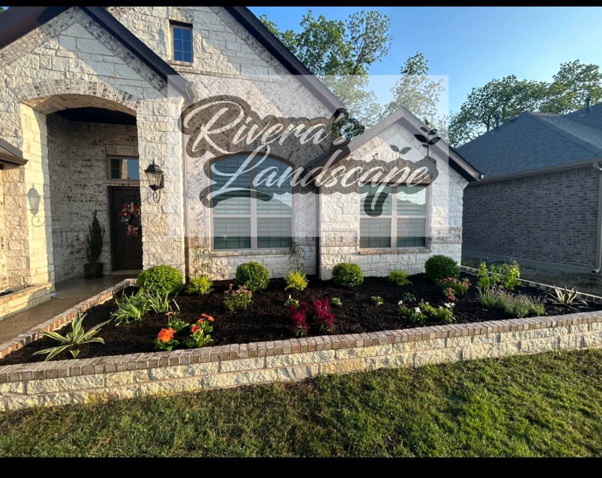 Rivera’s Landscape gallery 2