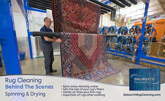 Dalworth Rug Cleaning gallery 2